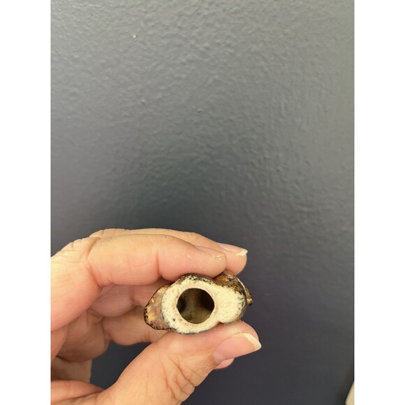 Vtg Dime Store Squirrel Figurine Japan Figure Knick Knack Display Animal Spotted - Picture 5 of 5